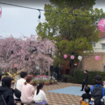 春の訪れを感じる「えだきん花＊花まつり」に行ってきました